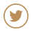 twitter icon
